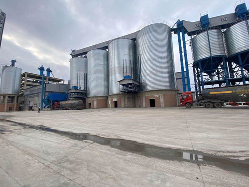 蘭西縣 民營(yíng)經(jīng)濟(jì)驅(qū)動(dòng)高質(zhì)量發(fā)展，建筑材料銷售成為強(qiáng)勁新動(dòng)能